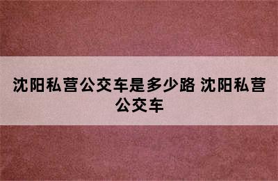 沈阳私营公交车是多少路 沈阳私营公交车